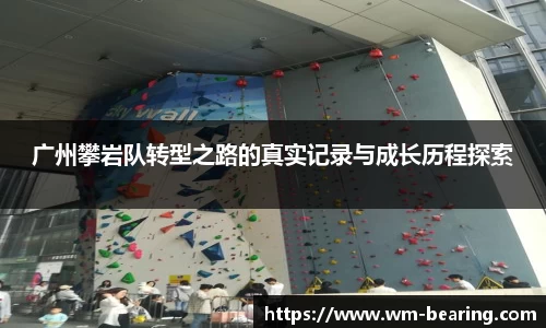 BB贝博登录入口