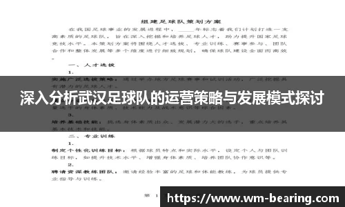 深入分析武汉足球队的运营策略与发展模式探讨