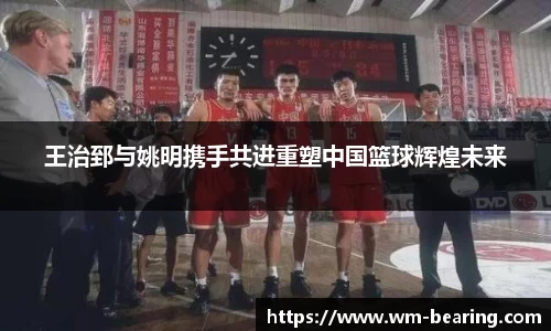 王治郅与姚明携手共进重塑中国篮球辉煌未来