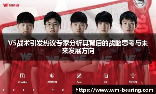 V5战术引发热议专家分析其背后的战略思考与未来发展方向