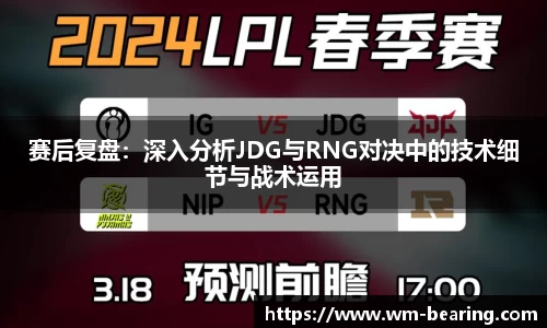 赛后复盘：深入分析JDG与RNG对决中的技术细节与战术运用