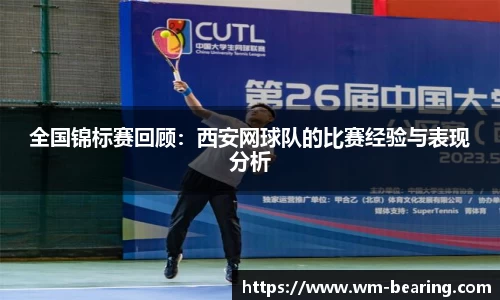 BB贝博登录入口