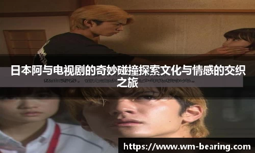 BB贝博登录入口