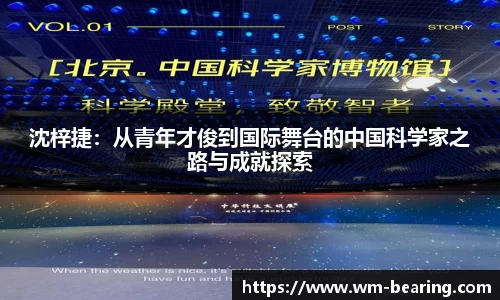 BB贝博