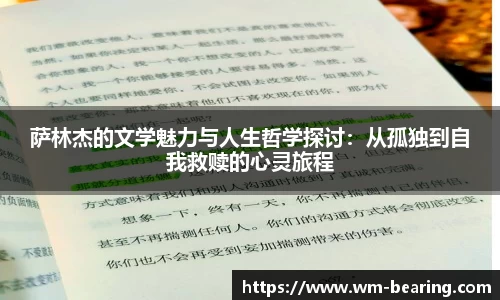BB贝博登录入口