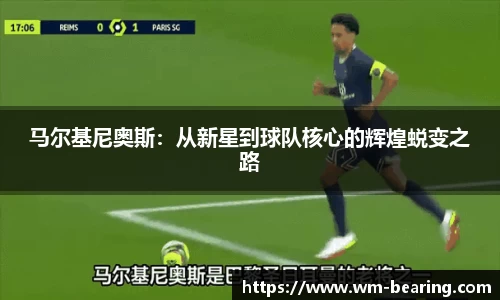 BB贝博登录入口