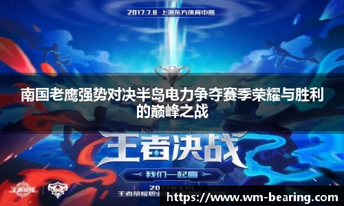南国老鹰强势对决半岛电力争夺赛季荣耀与胜利的巅峰之战