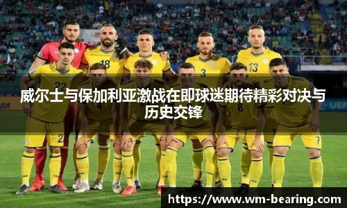 威尔士与保加利亚激战在即球迷期待精彩对决与历史交锋