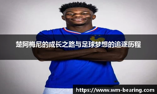 BB贝博ballbet