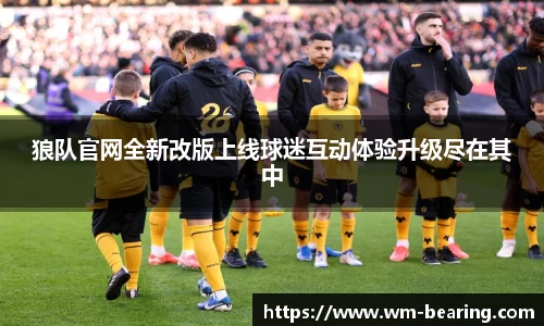 BB贝博登录入口