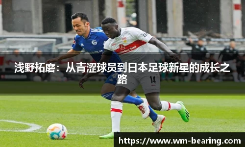 BB贝博ballbet