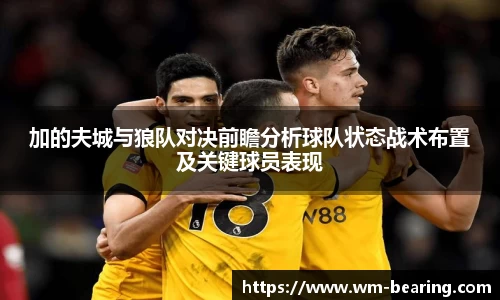 BB贝博ballbet