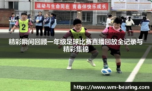 BB贝博ballbet